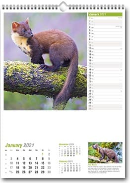 Custom Printed Wildlife Of Britain Wall Calendar