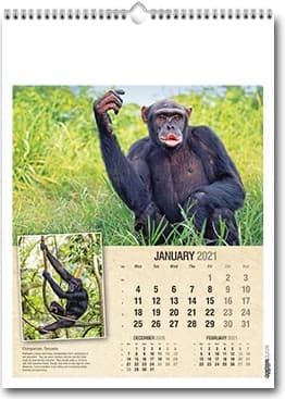 Custom Printed World Wildlife Wall Calendar