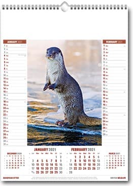 Custom Printed British Wildlife Wall Calendar