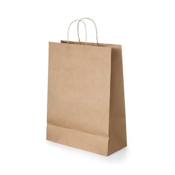 Custom Printed Ellen Paper Kraft Bag