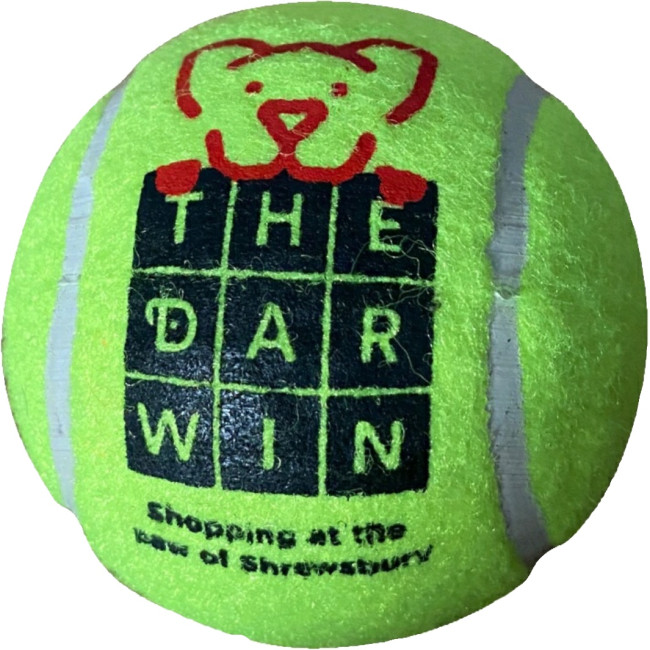 Custom Printed Tennis Ball Recreational 7cm - Image 4