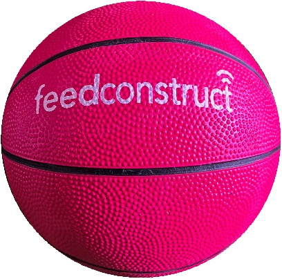 Custom Printed Mini Basketball 19cm - Image 2