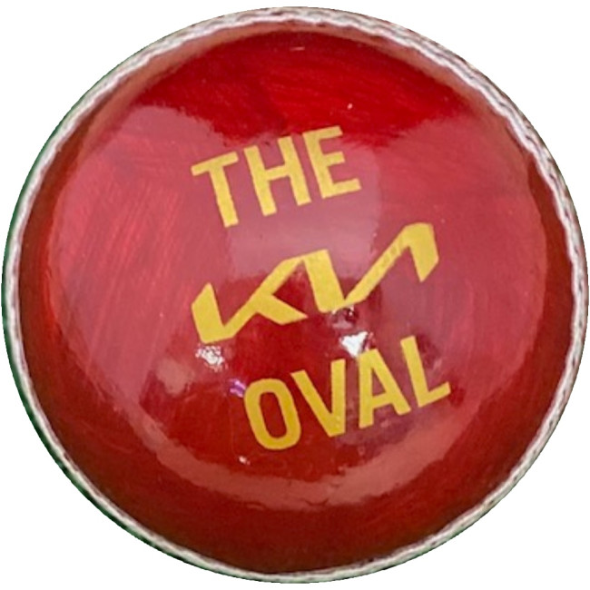 Custom Printed Practise Cricket Ball - Image 2