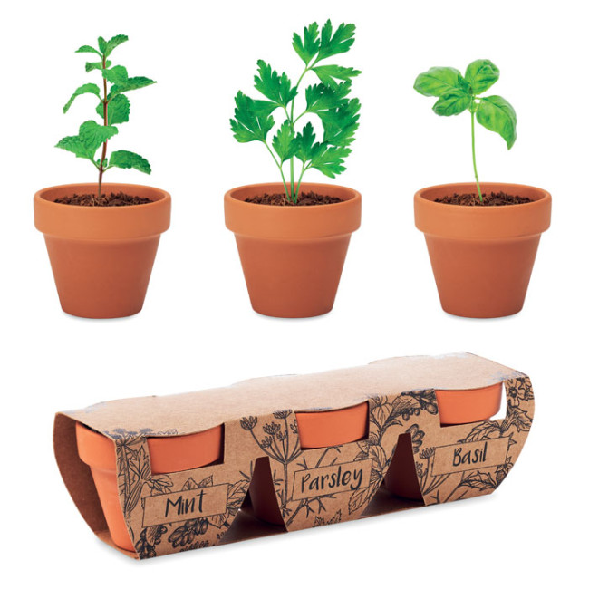 Custom Printed Terracotta 3 Herb Pot Set