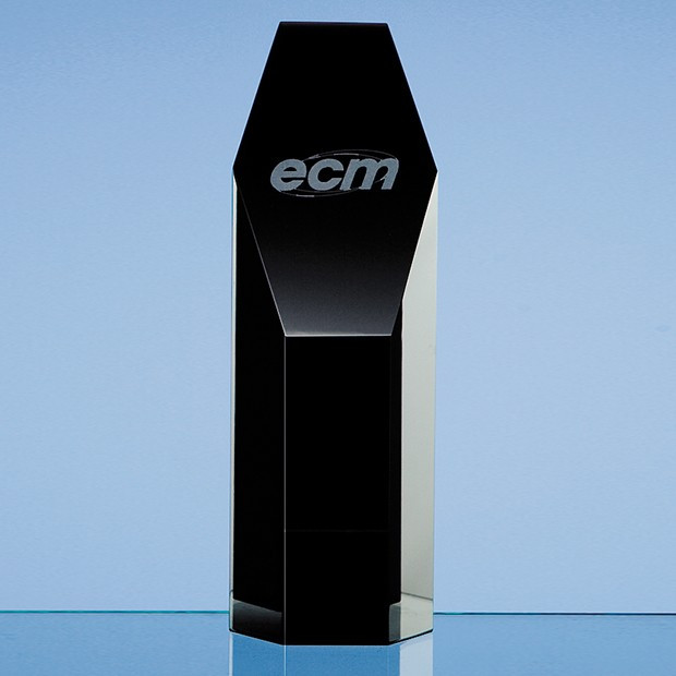 Custom Printed 19cm Onyx Black Optical Crystal Hexagon Award