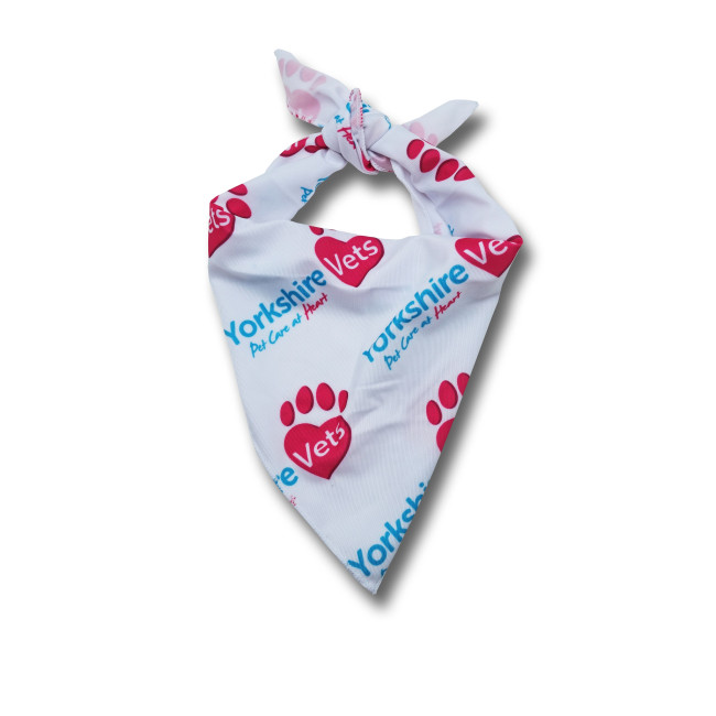 Custom Printed Dog Bandana