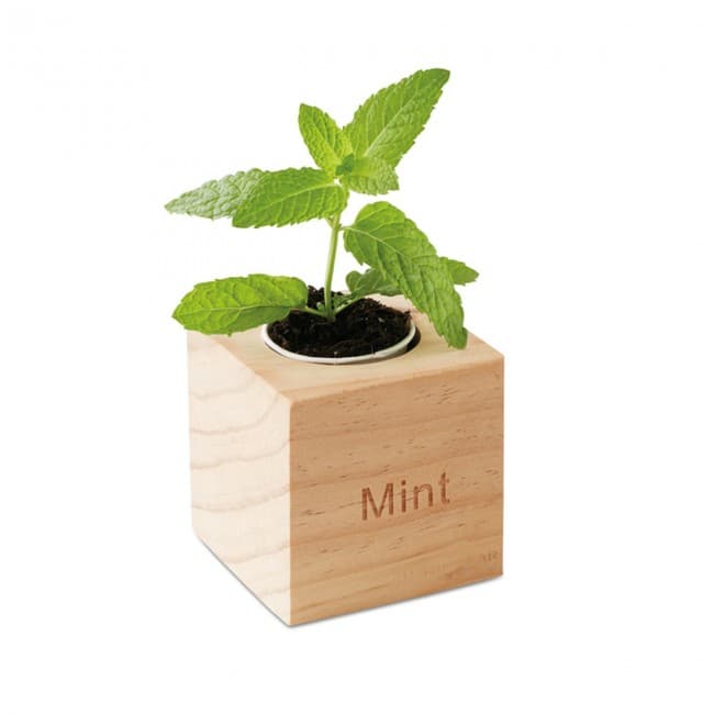 Custom Printed Herb Wood Pot With Mint Seeds - Image 2