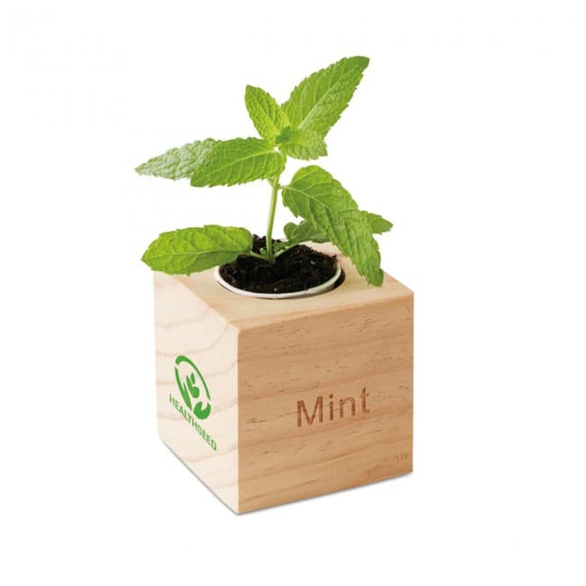 Custom Printed Herb Wood Pot With Mint Seeds - Image 1