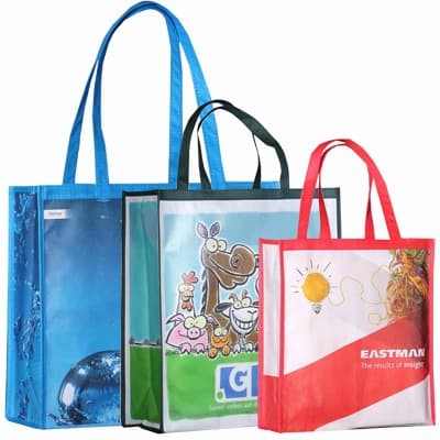 Custom Printed Non-woven laminated Shopping Bag