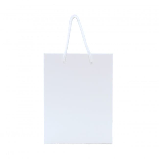 Custom Printed Walton A4 Gloss Laminated Paper Carrier Bag