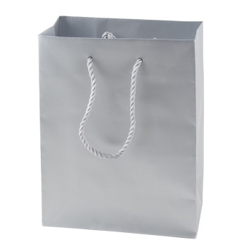 Matt paper bag 220 x 290 x 100mm