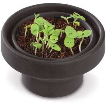 Garden foldabe herbs pot - basil