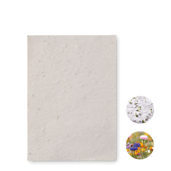 A6 Wildflower Seed Paper Sheet