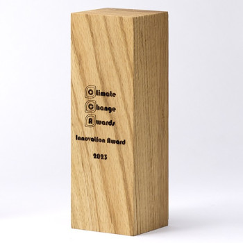 18cm x 6cm x 6cm Beech Square Column Award