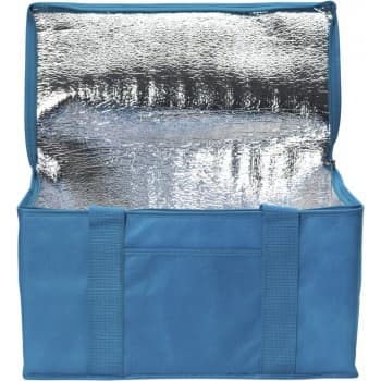 Rainham 12 Can Cooler Bag.