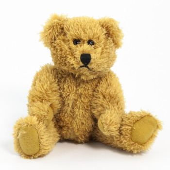 Sparkie Bear 20cm