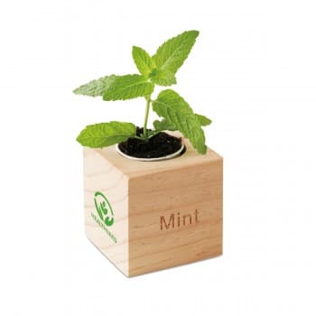 Herb Wood Pot With Mint Seeds