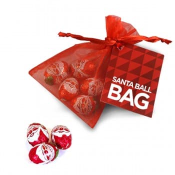 Santa Organza Bag