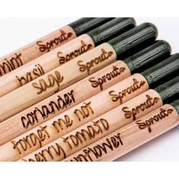 Sprout Customised Pencil