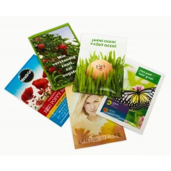 Seed Packet Medium